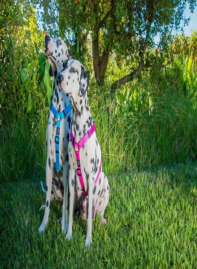 Rogz Reflective Adjustable Dog H Harness for Large Dogs; matching collar and leash available, Yellow - Image 2